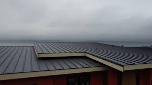 Best Roof Ventilation Installation  in Thomson, GA